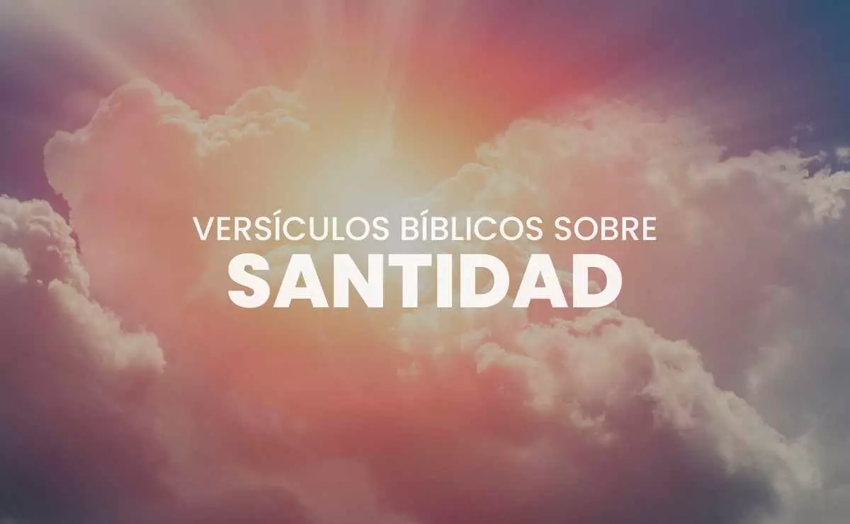 Vers Culos De La Biblia Sobre Santidad Textos B Blicos