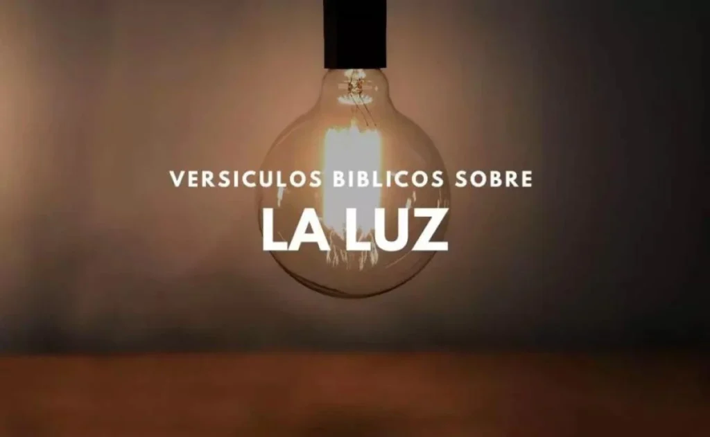 Yo he venido como una luz para brillar en este mundo de oscuridad Juan  12:46 (NTV)