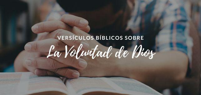 Versículos Bíblicos sobre La Voluntad de Dios