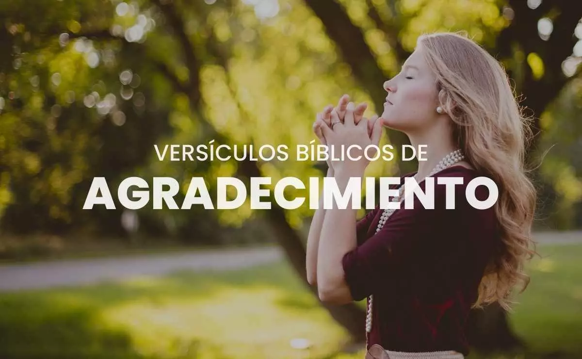 Versiculos De La Biblia De Agradecimiento Textos B Vrogue Co